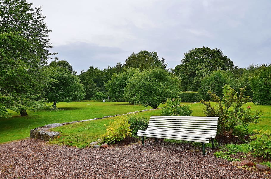bench, park, sit, rest, wood, landscape, tree, green, leaf HD wallpaper