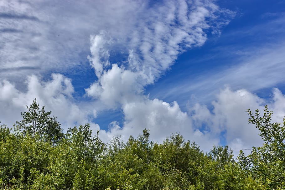 sky, clouds, cumulus, landscape, cloud - sky, tree, plant, blue HD wallpaper