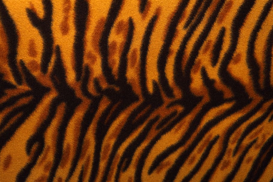 untitled, Animal, Background, Cat, Cheetah, Coat, fur, hair, leopard, HD wallpaper
