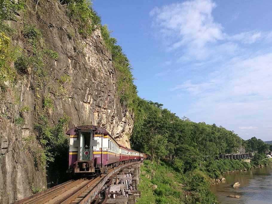 Train, Railway, Forest, mountain, tree, bridge - man made structure, HD wallpaper