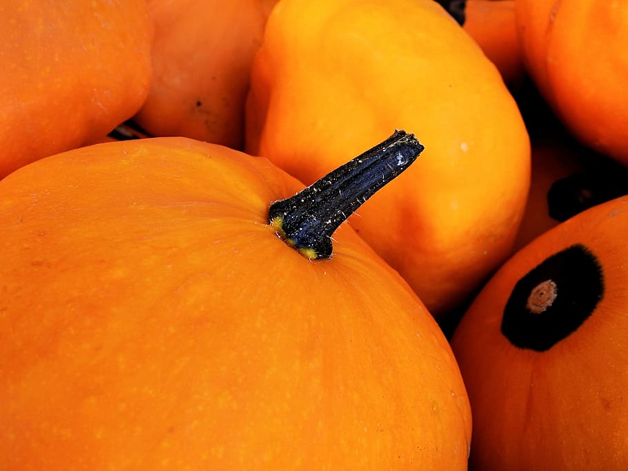 Pumpkin, Gourd, Decoration, autumn, vegetables, harvest, helloween, HD wallpaper