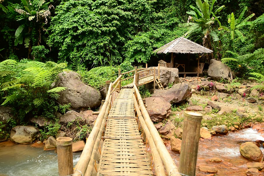 Bridge, Bamboo, crossing, wood - material, outdoors, no people HD wallpaper