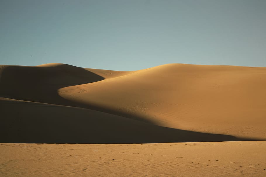 desert field, dunes, nature, abstract, sand, sand dune, land HD wallpaper