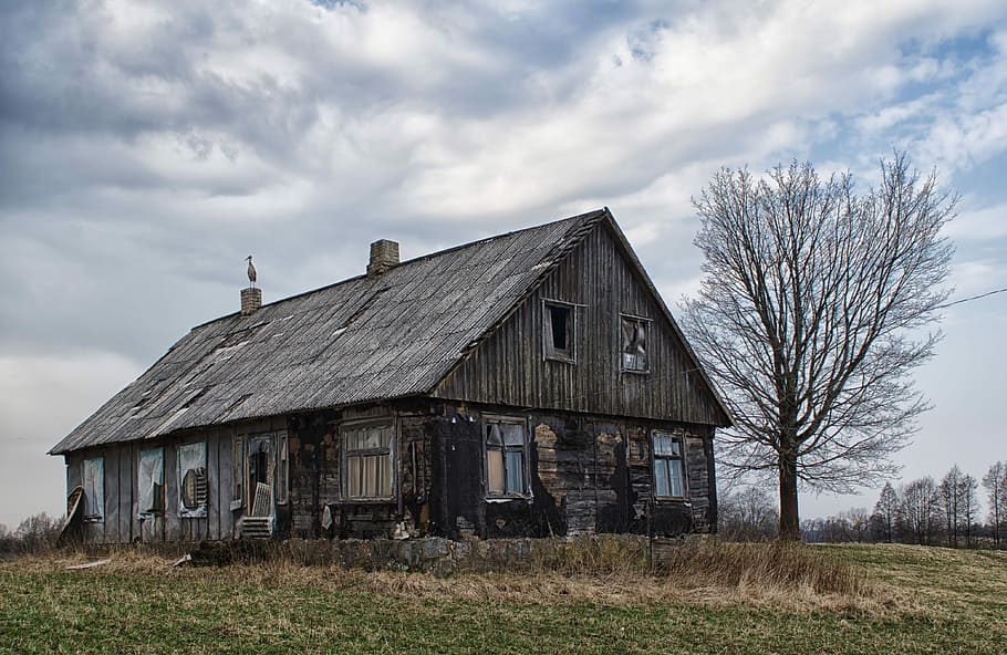 tree, house, landscape, nature, architecture, alone, built structure HD wallpaper