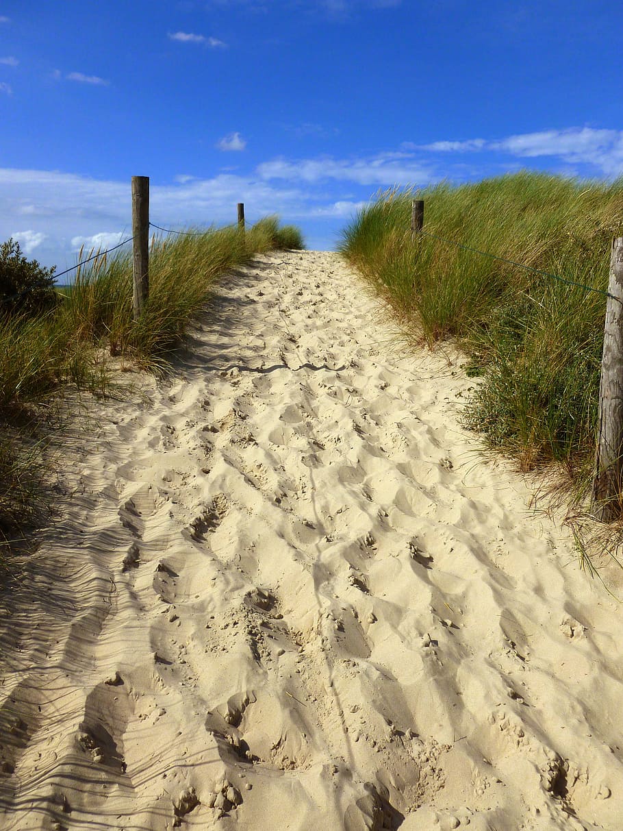 away, uphill, sky, sand, dunes, nature, blue, summer, beach HD wallpaper