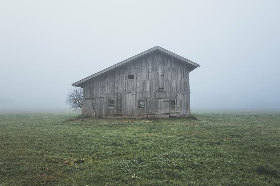 grey wooden barn, foggy, farm, rural, landscape, countryside, HD wallpaper
