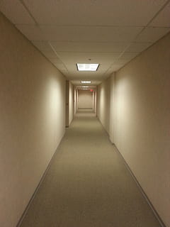 free hall way painted wall, hallway, empty, office, quiet, building HD wallpaper