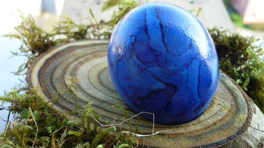 ast-disc, easter egg, blue, focus on foreground, close-up, day, HD wallpaper