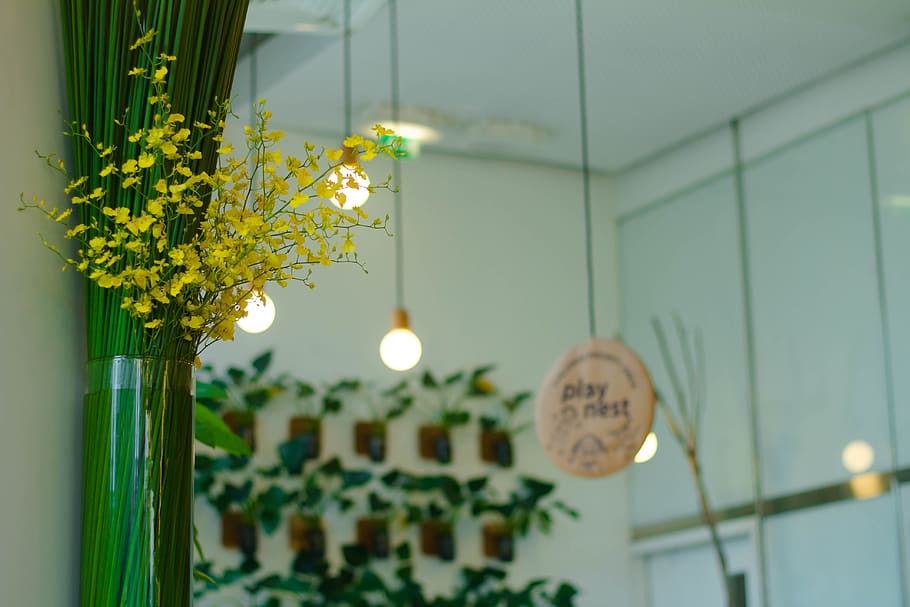 light, bulb, interior, design, flower, plant, wall, decoration HD wallpaper