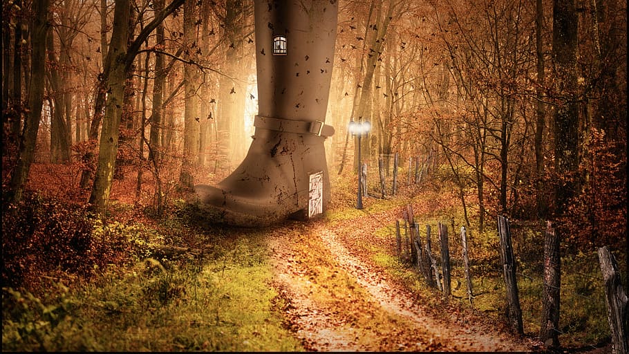 brown buckled boot at the middle of road surrounded by trees, HD wallpaper