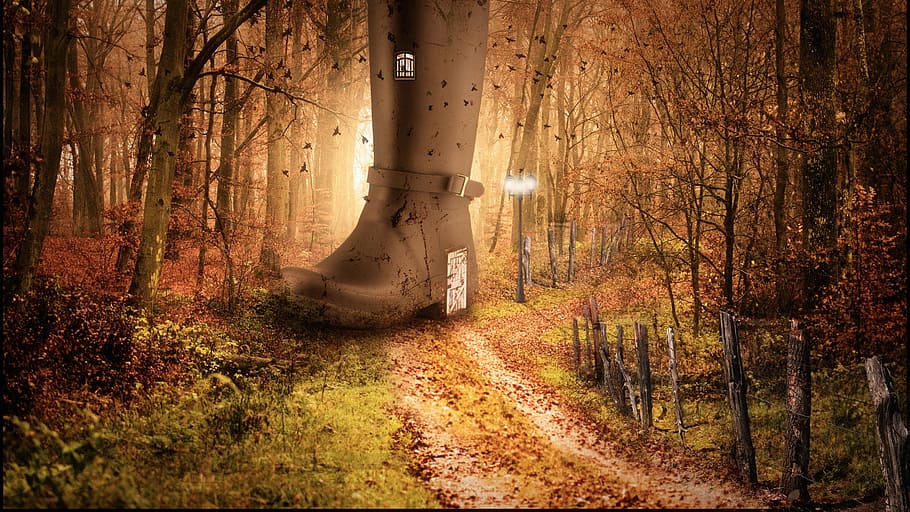 brown buckled boot at the middle of road surrounded by trees HD wallpaper