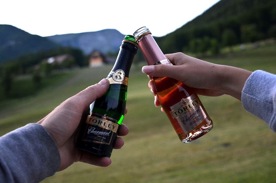 celebration, joy, excursion, love, young, champagne, alps, cow HD wallpaper