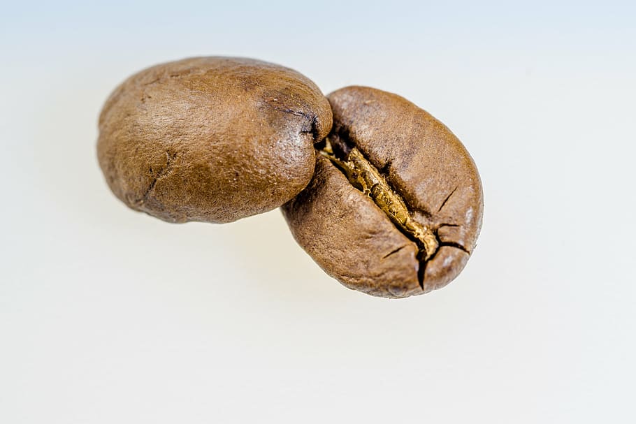 brown coffee nuts, coffee bean, roasted, caffeine, macro, cafe HD wallpaper