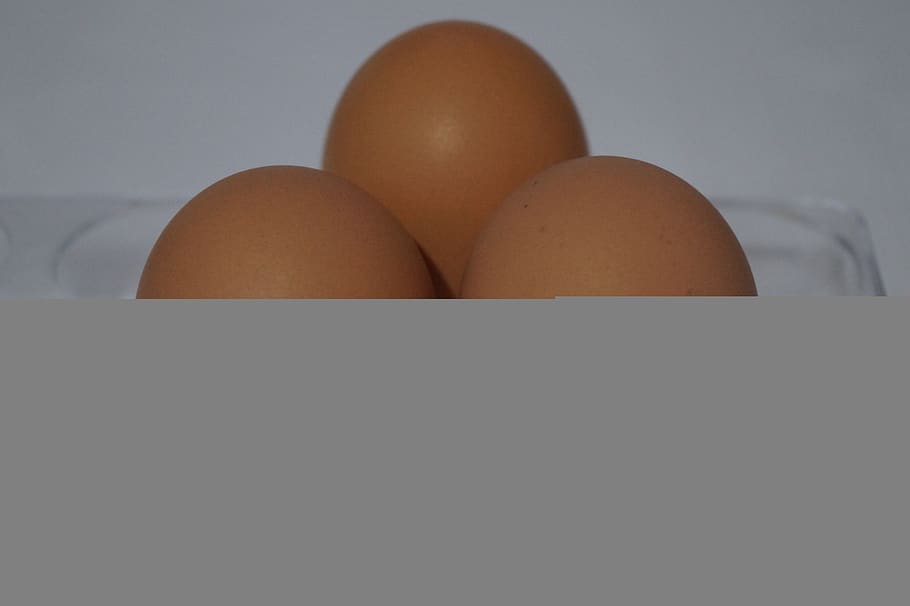 egg, food, easter, breakfast, cholesterol, food and drink, wellbeing HD wallpaper