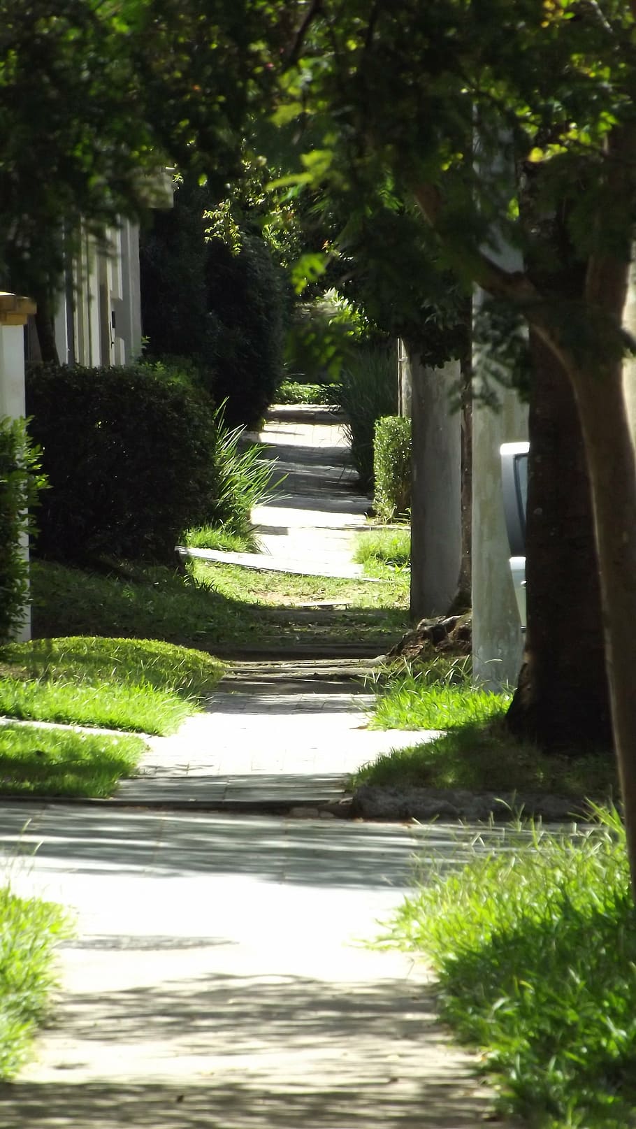 path, street, stillness, plant, architecture, nature, no people HD wallpaper