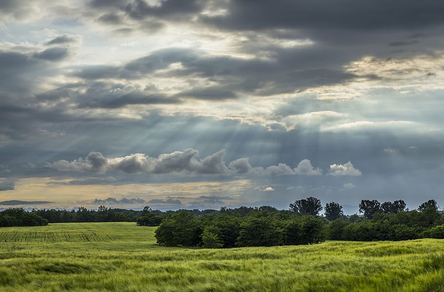 wide grass field during daytime, clouds, green, beautiful landscape HD wallpaper