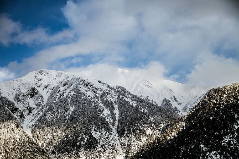 white snow on mountains, mountains covered with snw, alpine, tree HD wallpaper