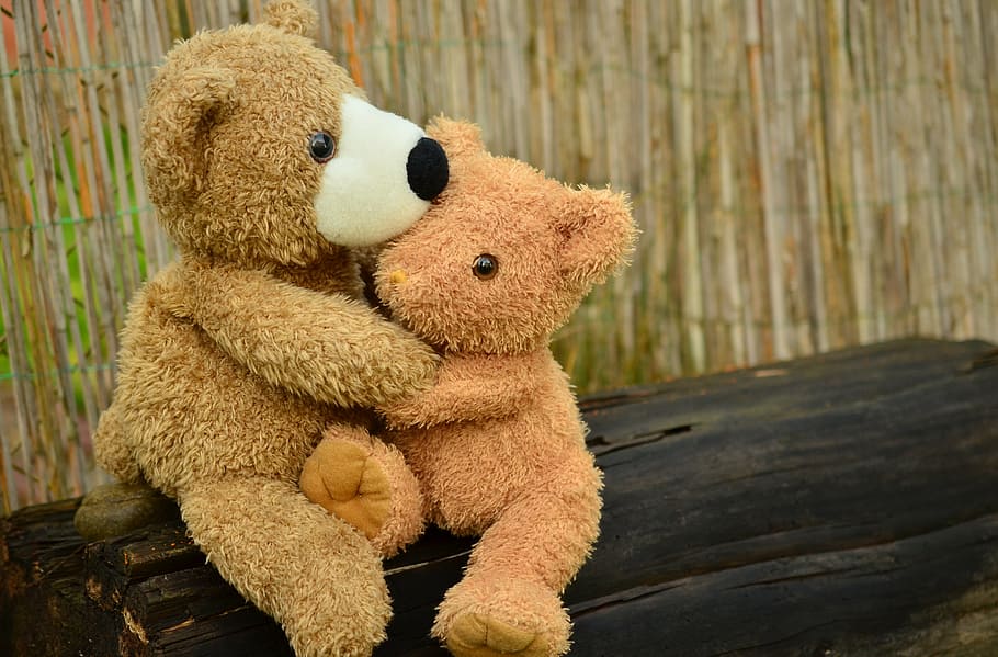 two brown bear hug each other, teddy, snuggle, love, soft toy
