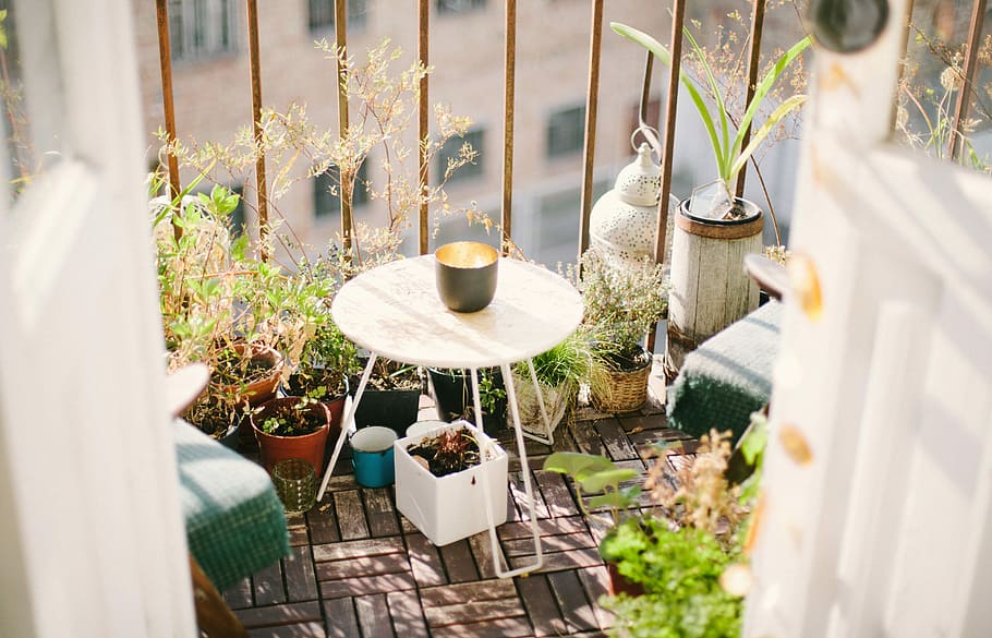garden on terrace during daytime, gray cup at the center of white table HD wallpaper