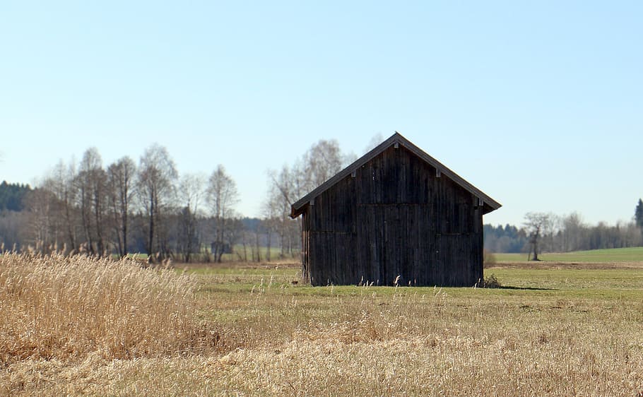 Hut, Barn, Field, Meadow, Nature, abandoned, built structure HD wallpaper