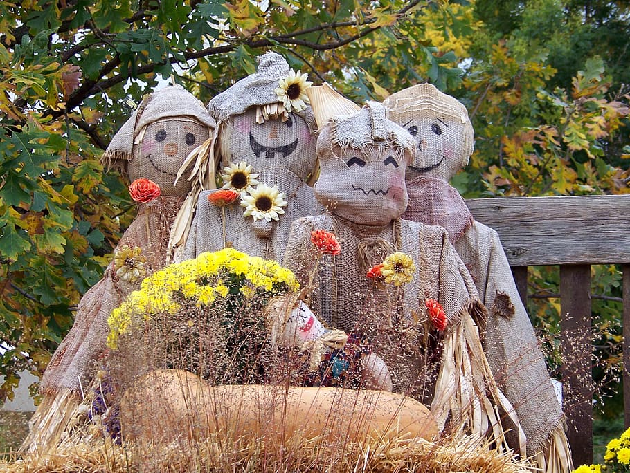 scarecrow, burlap, autumn, fall, halloween, flowers, plant HD wallpaper