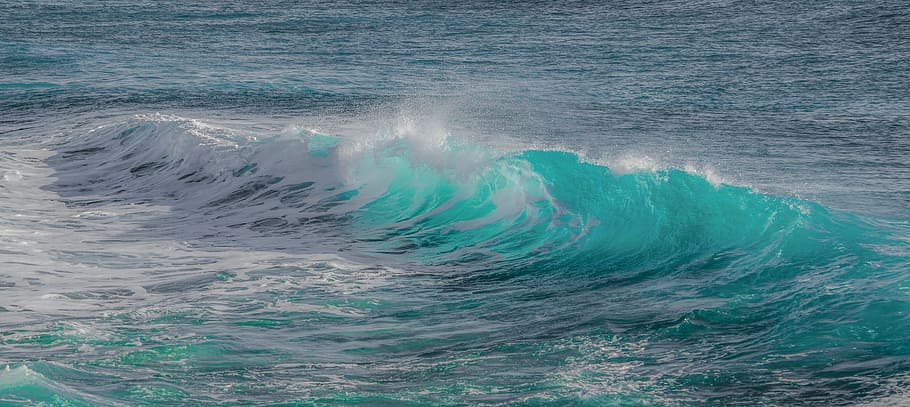 photography of body of water wave, surf, sea, foam, spray, nature HD wallpaper