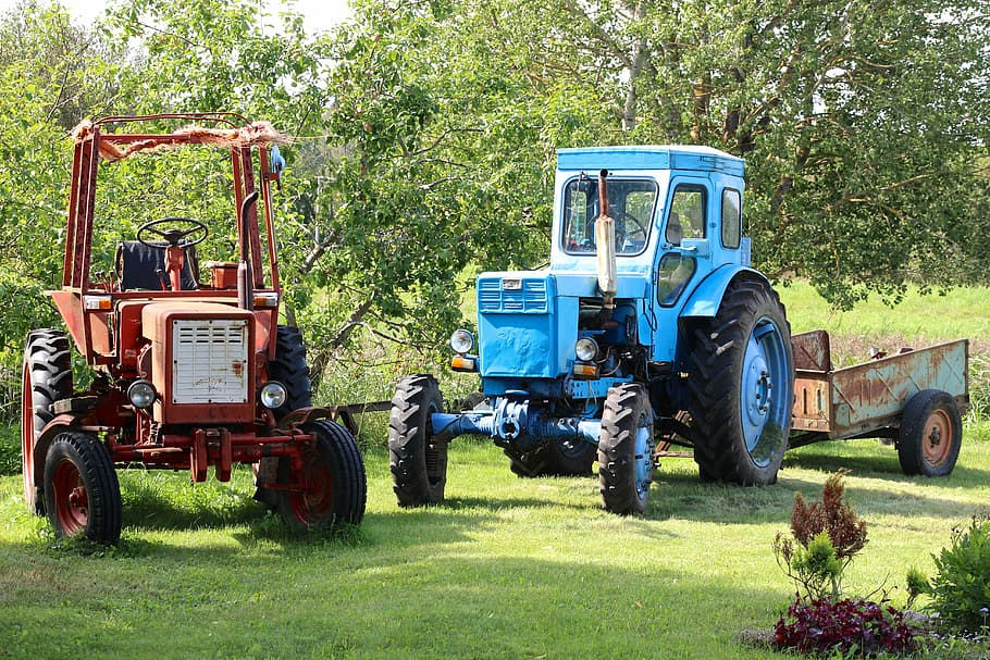 tractor, old, transport, summer, work, transportation, plant HD wallpaper