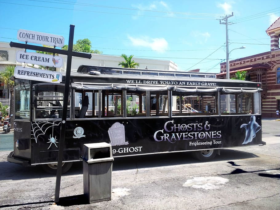 bus, city, vehicles, public transport, town, florida, usa, older vehicles, HD wallpaper