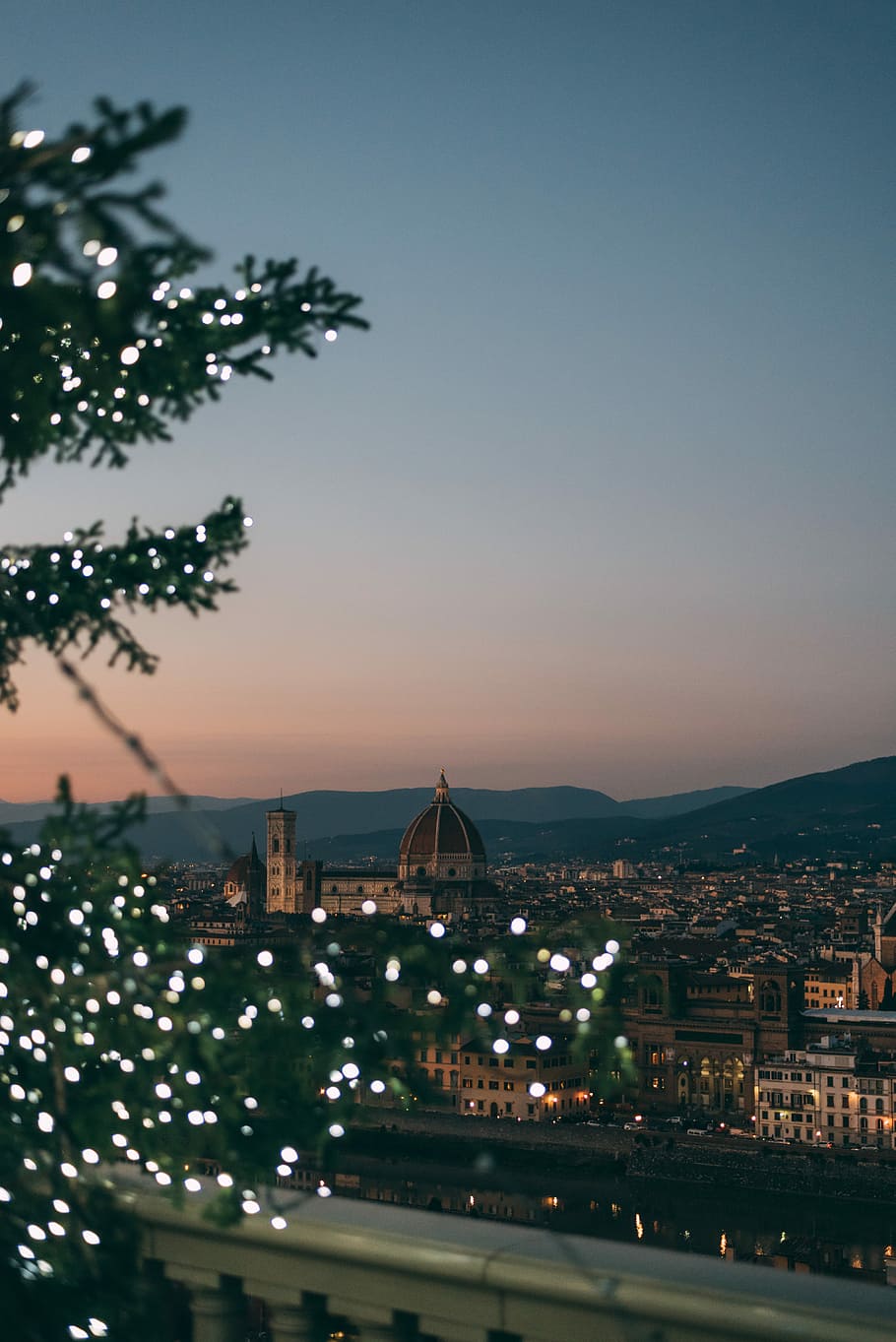 green tree with white string lights, domed cathedral view from distance HD wallpaper