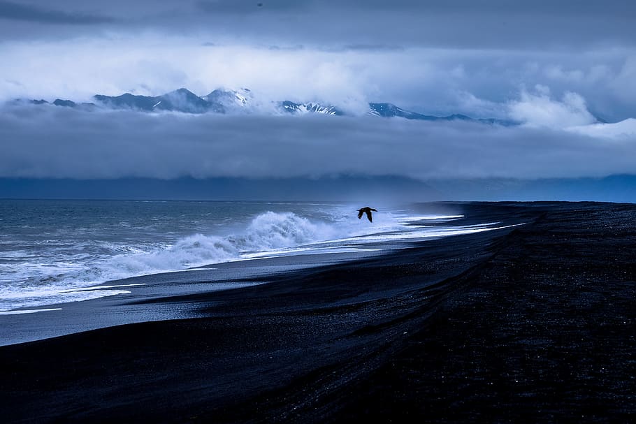 sea, dawn, landscape, nature, beach, bird, clouds, cloudy, dramatic HD wallpaper