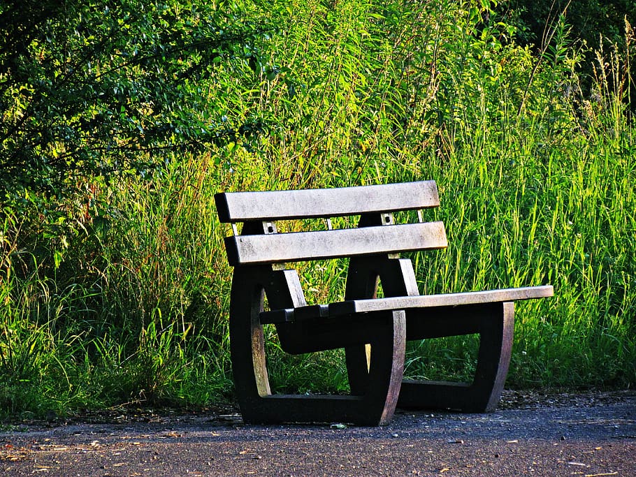 bench, park, spacer, rest, tree, relaxation, seat, plant, empty HD wallpaper