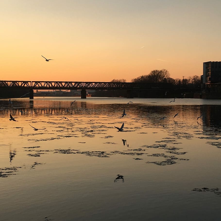 River, Bridge, Main, abendstimmung, sunset, frankfurt, main bridge HD wallpaper