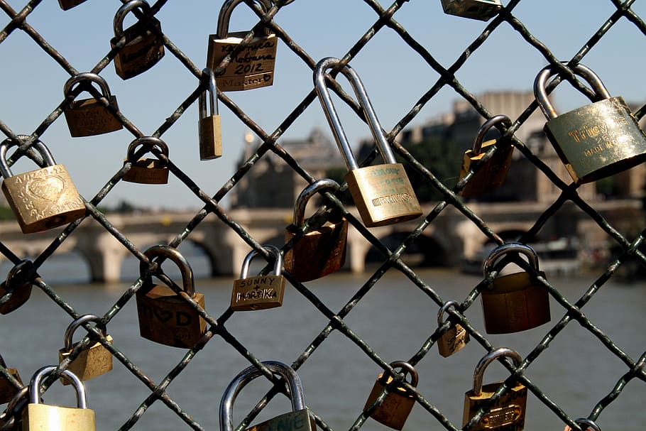 padlocks, river, bridge, metal, symbol, fence, safety, security HD wallpaper