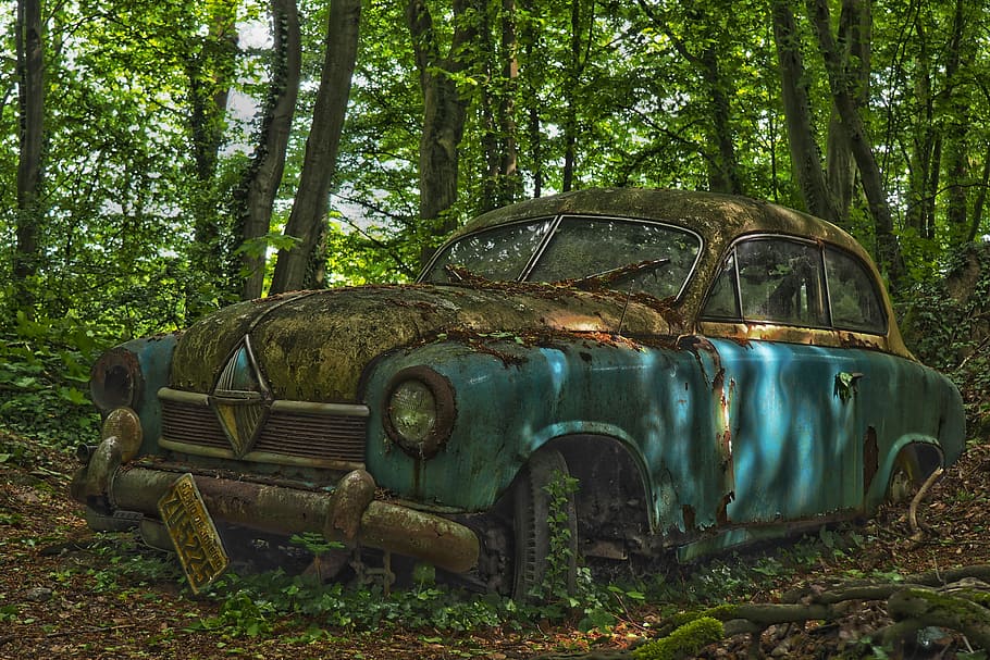 classic blue car, auto, car cemetery, oldtimer, rust, stainless karre HD wallpaper