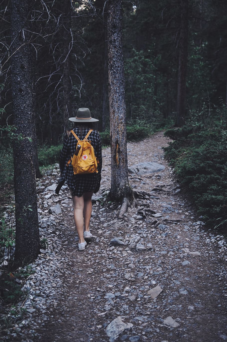 person wearing backpack walking near forest during daytime, woman carrying backpack walking at the middle of forest HD wallpaper