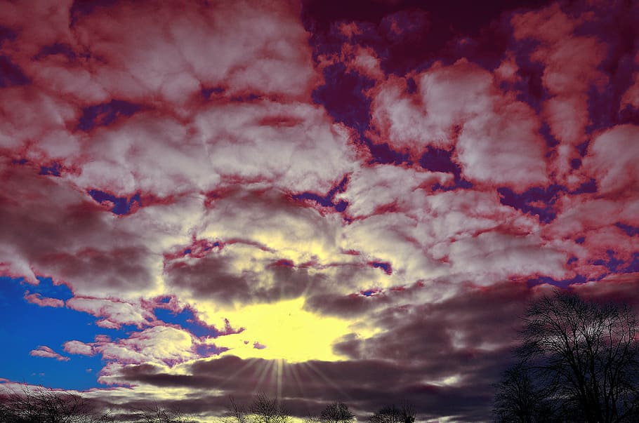 sunrise, clouds, sky, red, blue, nature, morning, tree, trees HD wallpaper
