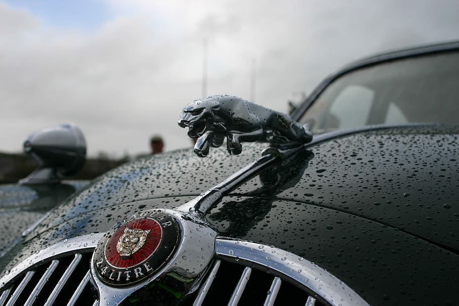 HD wallpaper: Jaguar, Car, Vintage, Classic, Ireland, old cars, irish,  transportation | Wallpaper Flare