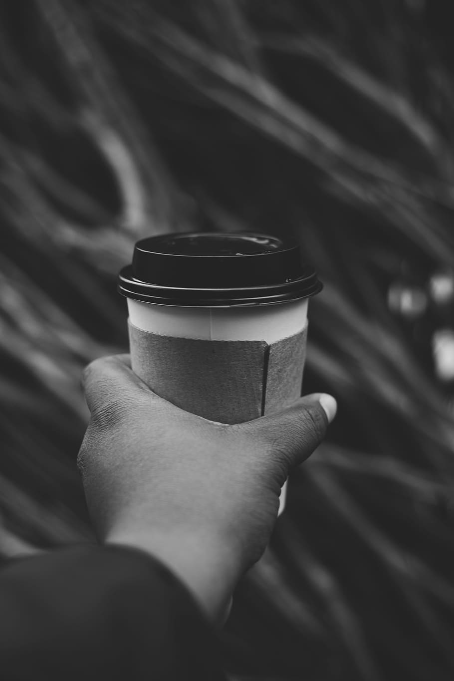 grayscale photo of person holding disposable cup, person holding disposable cup HD wallpaper