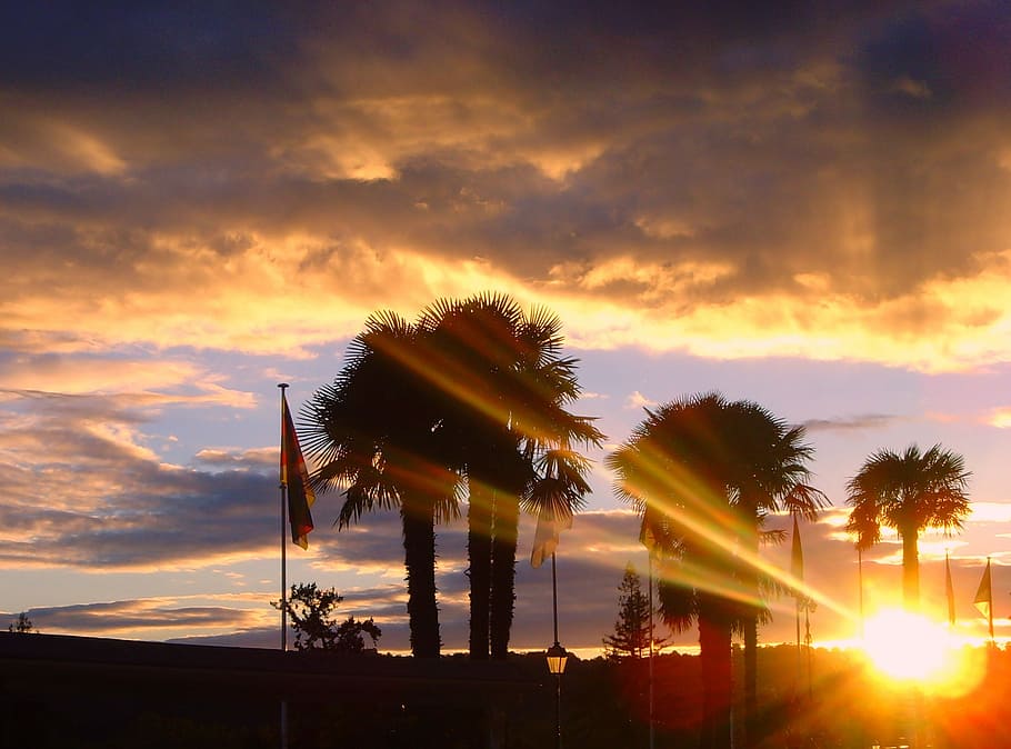 Pau, Boulevard Des Pyrenees, Sunset, cloud - sky, nature, no people HD wallpaper