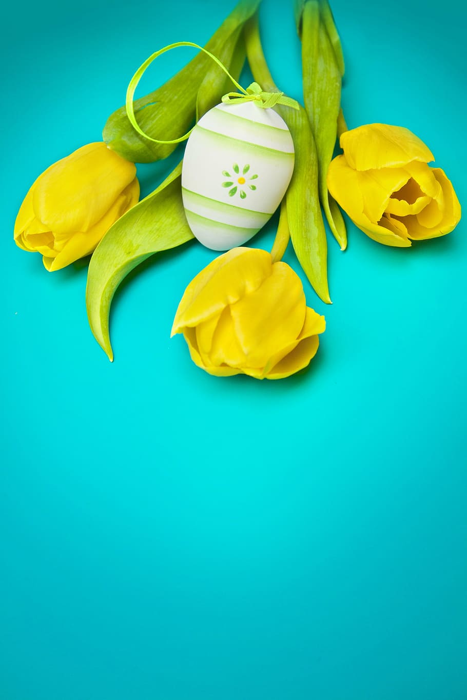 three ylelow flowers, spring, tulips, plant, meadow, holidays HD wallpaper