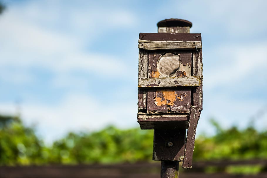 nesting box, old, bird, color, wood, day, focus on foreground HD wallpaper