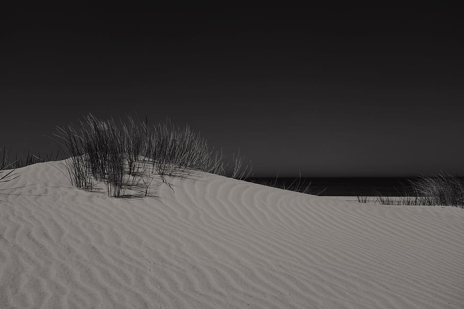 dunes, grass, night, sand, winter, snow, cold temperature, weather HD wallpaper