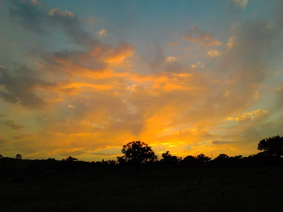 solar, clouds, tree, sky, sunset, cloud - sky, silhouette, beauty in nature HD wallpaper