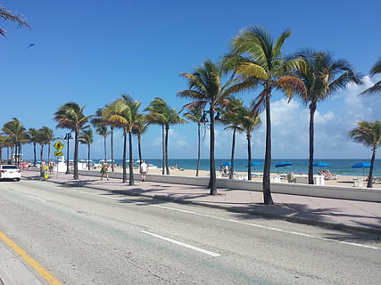 people walking near road in resort, miami, usa, beach, tropical climate HD wallpaper