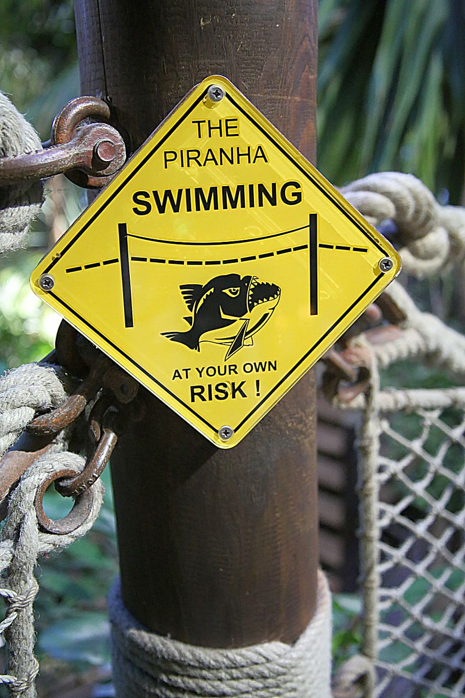 danger, poster, piranna, fish, tooth, predator, animal, communication HD wallpaper