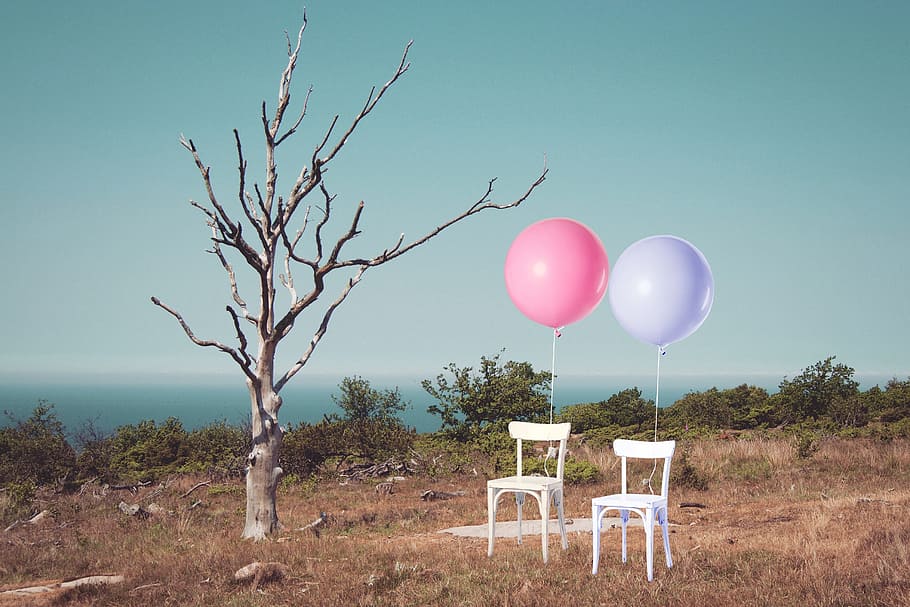 two white armless chairs with pink and purple balloons, tree HD wallpaper