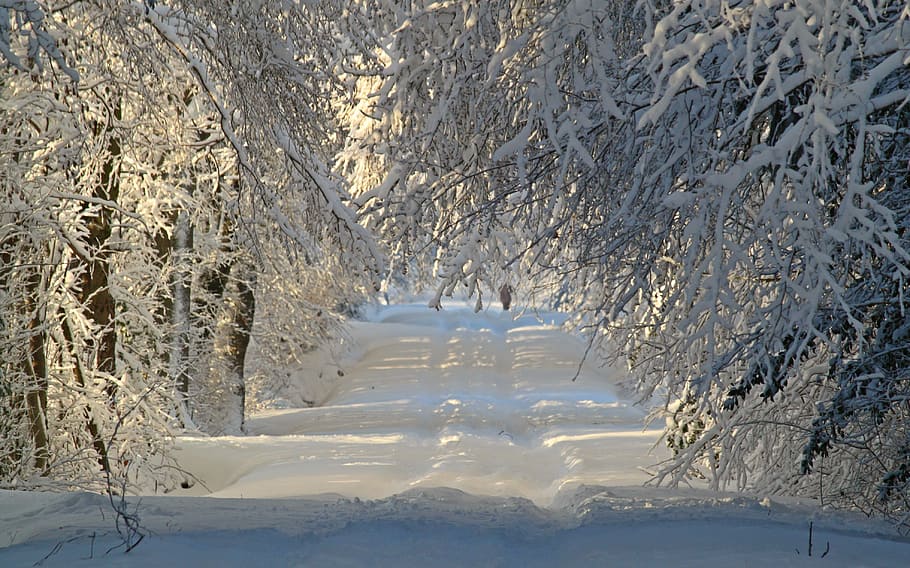 white snow covered road, winter, wintry, snow landscape, snowy HD wallpaper
