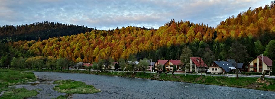 tree, water, landscape, mountains, nature, autumn, plant, architecture HD wallpaper