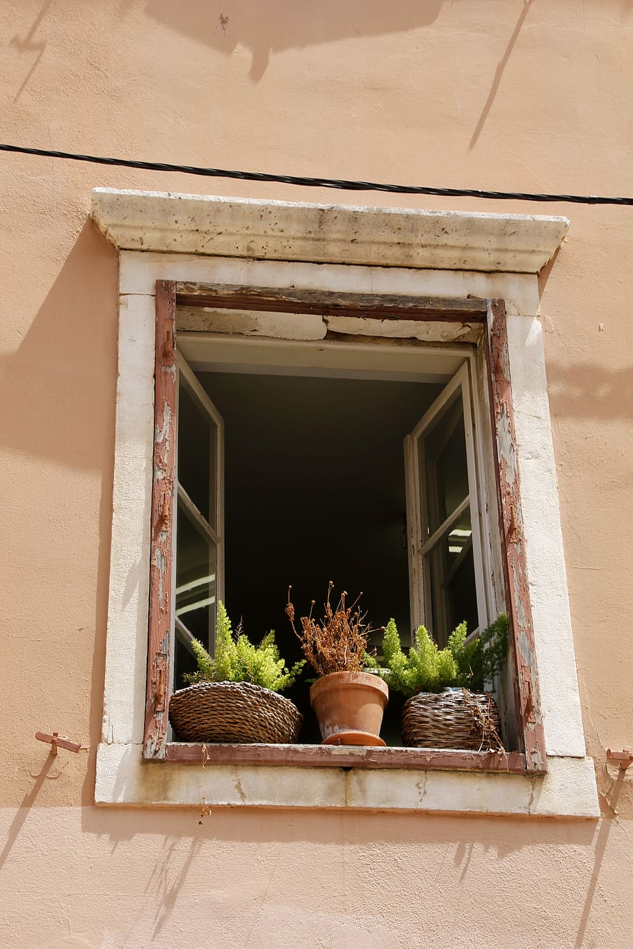 Window, Plant, Old, Idyll, potted plant, window sill, home interior HD wallpaper