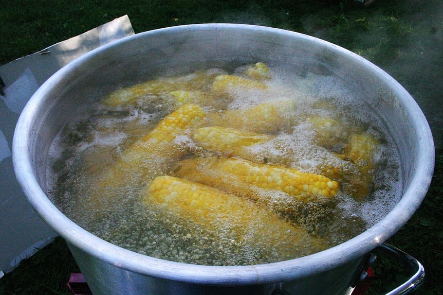 corn, boiling, vegetable, organic, food, boiled, cooking, dinner HD wallpaper
